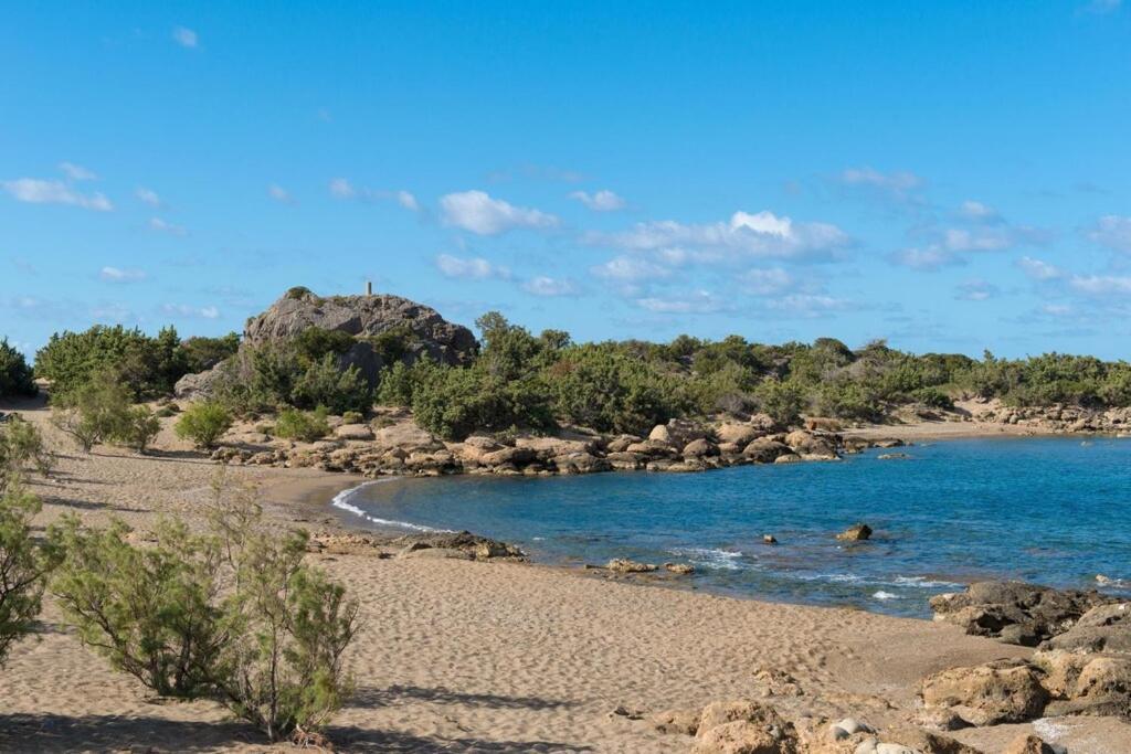 Cedar Bay Beachside Villas パレオコラ エクステリア 写真