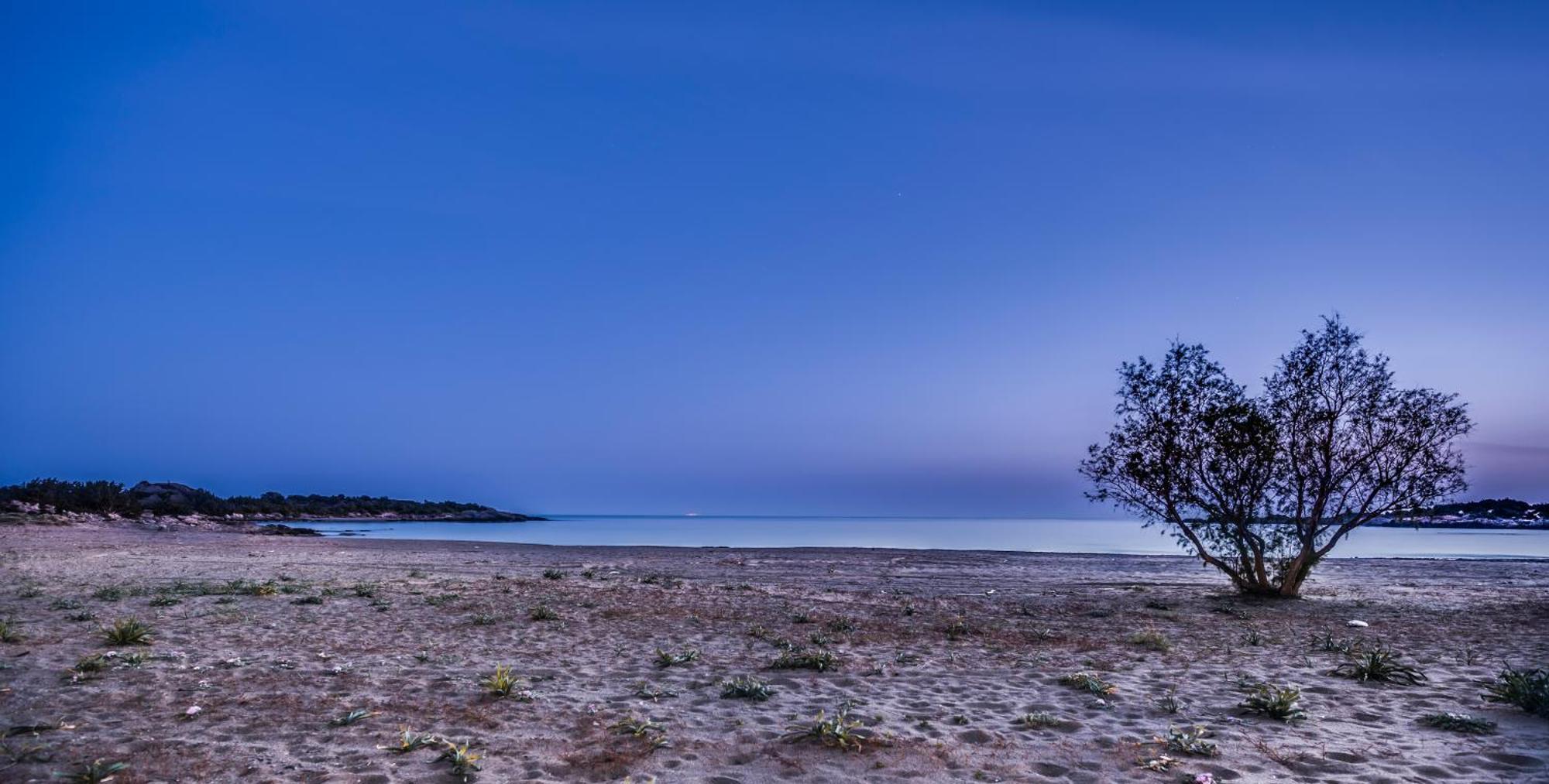 Cedar Bay Beachside Villas パレオコラ エクステリア 写真